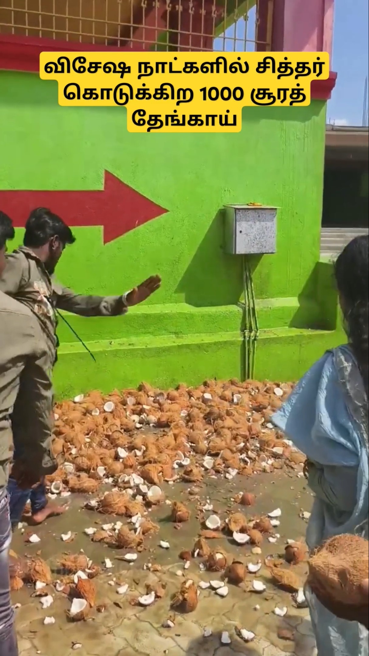 வேண்டிக் கொண்டு உடைப்பதற்கு சித்தர் கொடுக்கும் தேங்காய் l ஆயிரம் சூரத் தேங்காய் l பக்தர்கள்